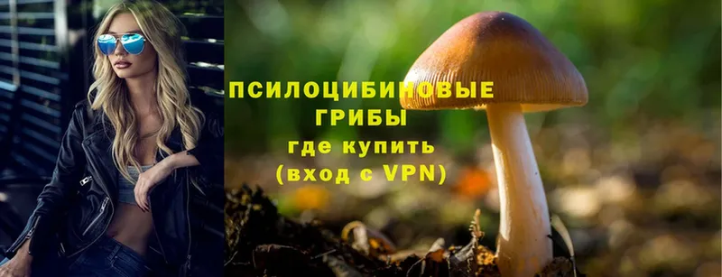 Галлюциногенные грибы Magic Shrooms  наркота  Сердобск 